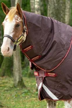 Online horseware Amigo Bravo 12 Plus utedekken med avtakbar hals, 100g Brown/Red/Gold/Red