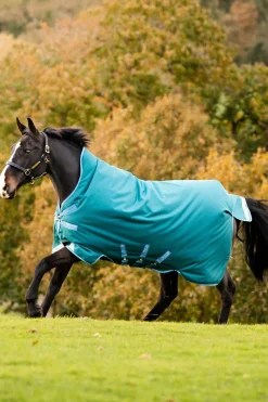 Clearance horseware Amigo Bravo 12 Wug utedekken med høy hals, 0 g StormGreen