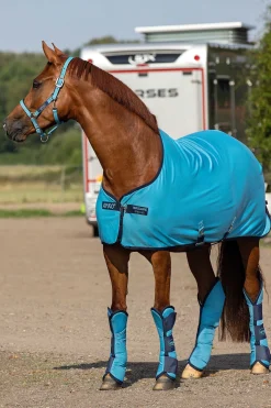 Online horseware Amigo grime