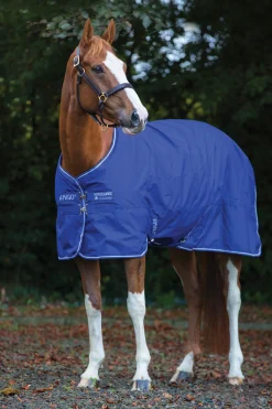 Clearance horseware Amigo Hero 900 Plus Medium utedekken, 200g AquaBlue/IvoryWhite
