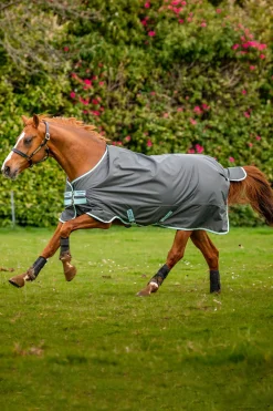 Sale horseware Amigo Hero Ripstop utedekken, 50g