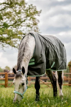 Sale horseware Amigo Hero Ripstop utedekken, 50g