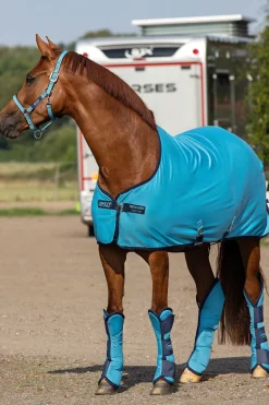 Online horseware Amigo Jersey Cooler