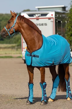 Online horseware Amigo Jersey Cooler