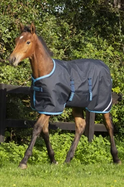 Sale horseware Amigo Ripstop følldekken, 50 gram Navy/ElectricBlue