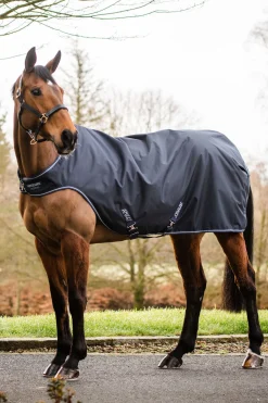 Hot horseware Amigo walker-dekken, 100g DarkBlue/DarkBlue/White