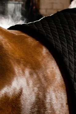 Discount horseware Autumn cooler Black/Aqua