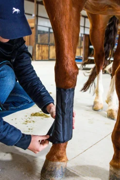 horseware Ice-Vibe belegg Black/AquaBlue