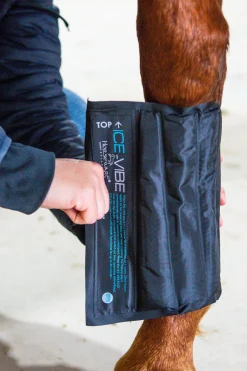horseware Ice-Vibe belegg Black/AquaBlue