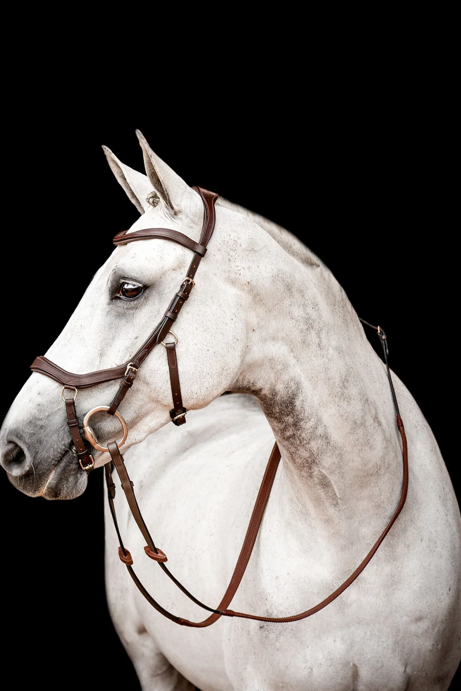 Sale horseware Micklem 2 Competition hodelag med gummitøyler DarkBrown