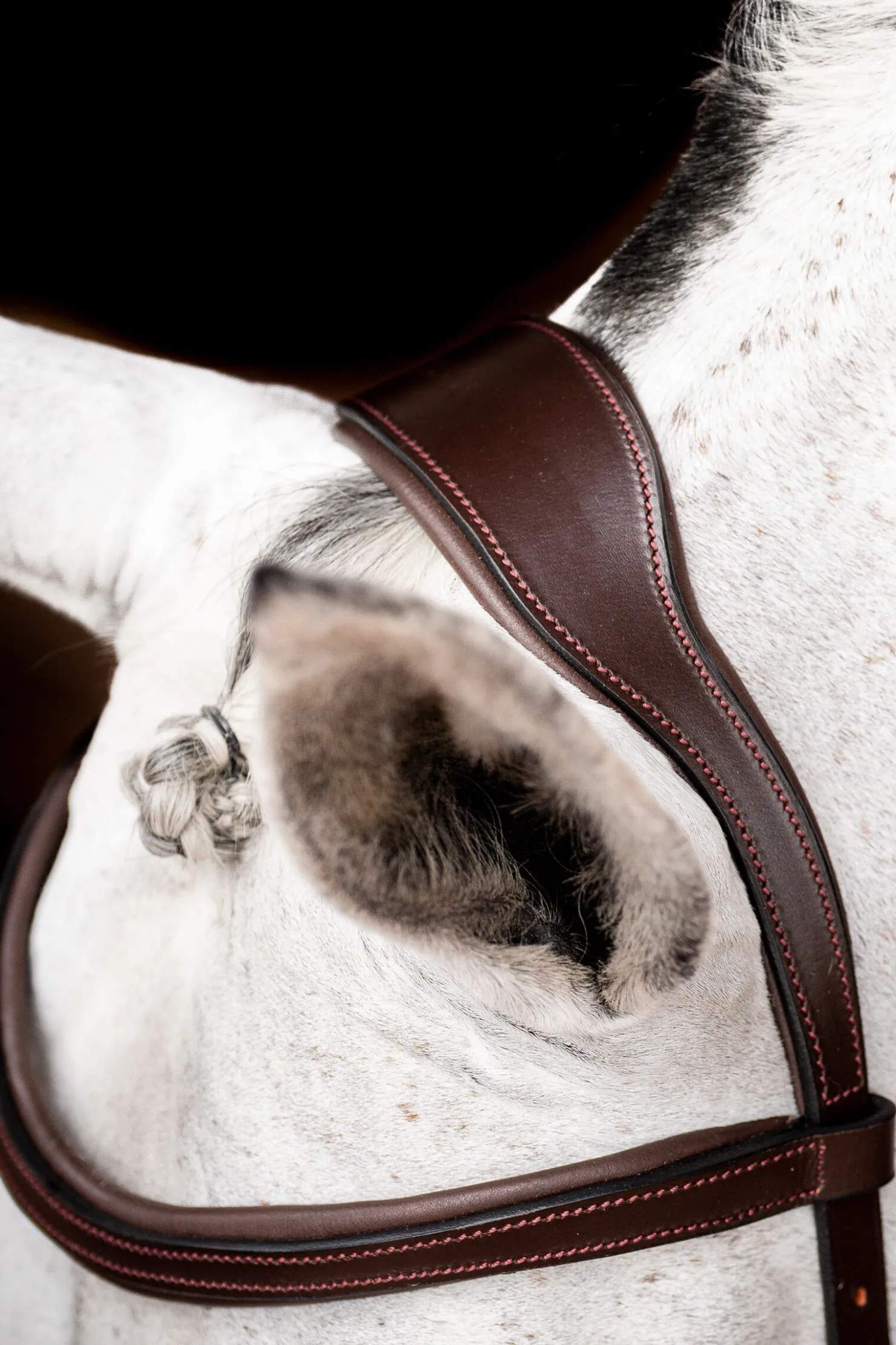 Sale horseware Micklem 2 Competition hodelag med gummitøyler DarkBrown