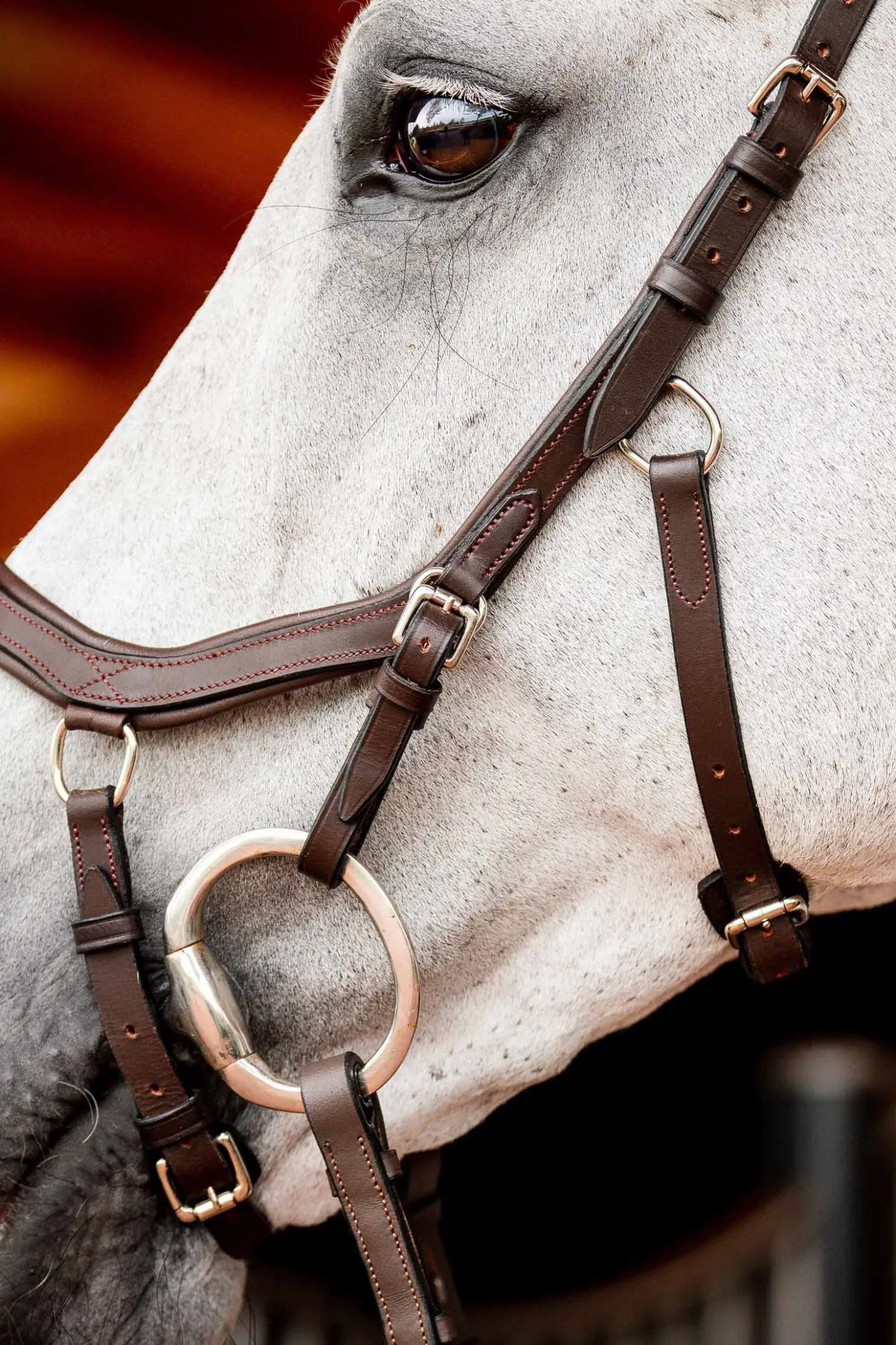 Sale horseware Micklem 2 Competition hodelag med gummitøyler DarkBrown