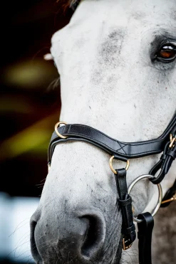 horseware Micklem 2 Multi Hodelag Black