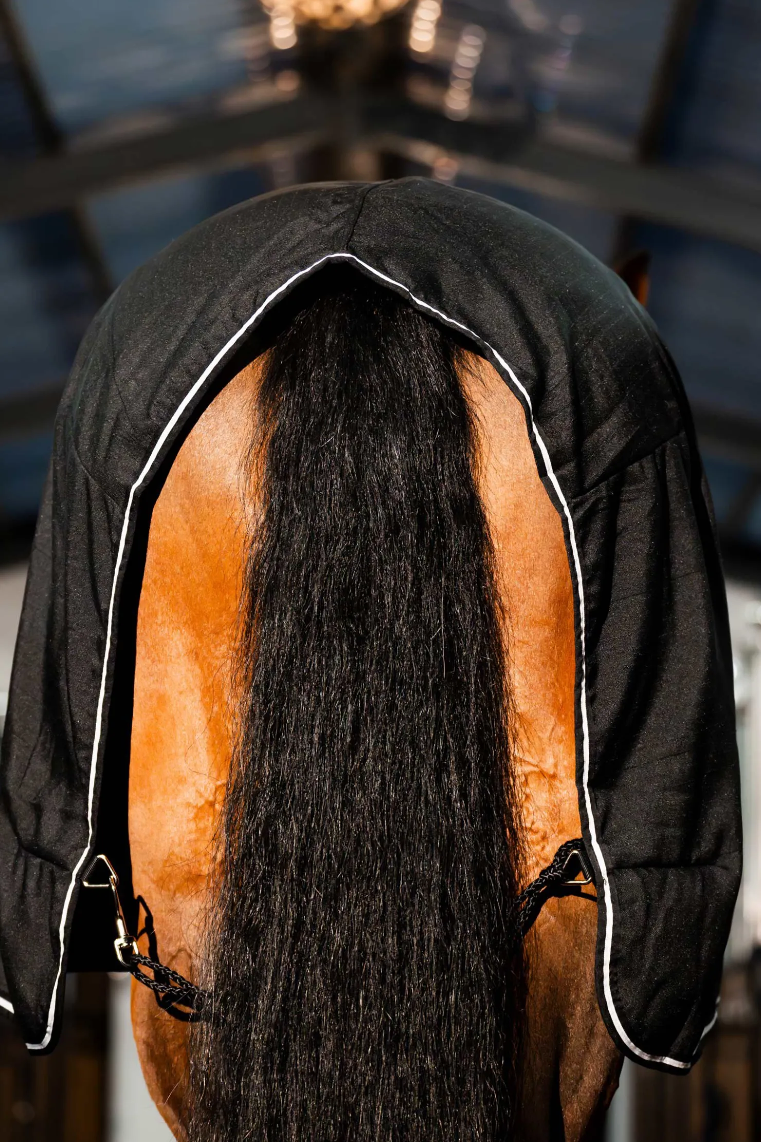 Sale horseware Rambo Stalldekken med mikrofiberfôr, 0g Black/Black&Silver72_6'0"