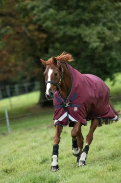 Discount horseware Rambo Wug utedekken, 200 gram Burgundy/Burgundy/Teal/Navy