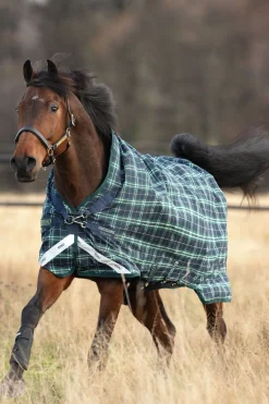 Hot horseware Rhino Wug utedekken, 100 g HunterGreen/Navy