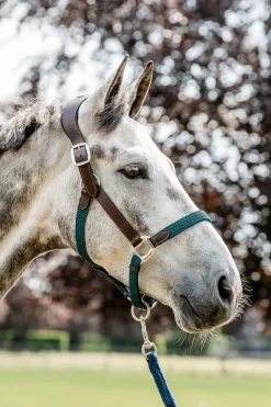 Discount horseware Signature flettet grime Brown/Navy&HunterGreen