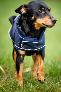 horseware Signature Hunderegnfrakk Navy