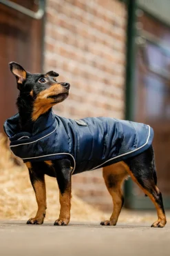 Online horseware Signature Hundekappe Navy