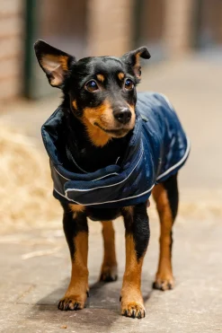 Online horseware Signature Hundekappe Navy