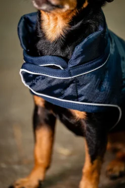 Online horseware Signature Hundekappe Navy