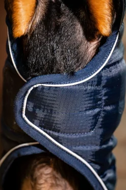 Online horseware Signature Hundekappe Navy