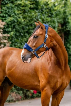 Clearance horseware Signature Pleie Hodebånd Navy
