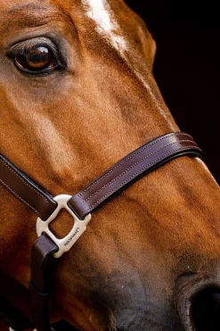 Discount horseware Signature-grime i lær Brown