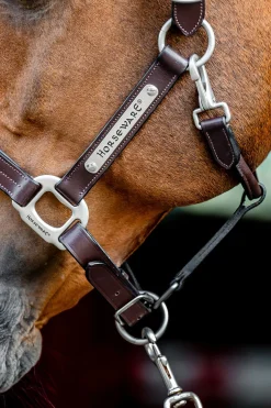 Discount horseware Signature-grime i lær Brown