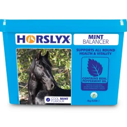 Best horslyx Mint, 5kg Ikkespesifisert
