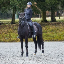 Clearance horze Adepto bakbeinsbelegg DarkBrown