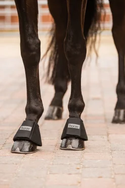 Online horze allround kopper Black