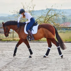 Online horze Bandasjeunderlag, bak Off-White