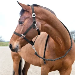 horze Basic leietau Black