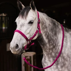 Clearance horze Chicago grime og leietau, sett WineRed/VioletQuartzPurple