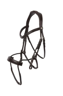 Best horze Chio hodelag Cognac