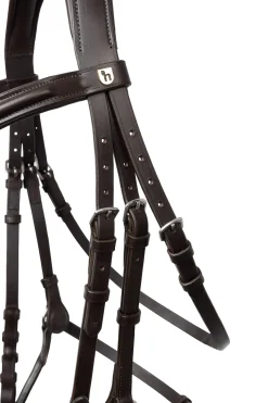 Best horze Chio hodelag Cognac