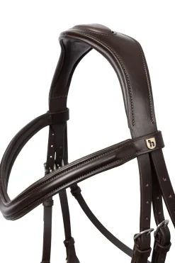 Best horze Chio hodelag Cognac