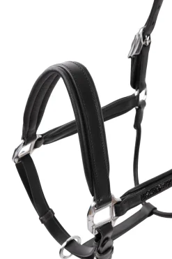 Best horze Delémont lærgrime Black