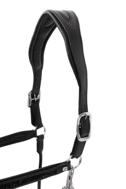 Best horze Delémont lærgrime Black