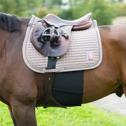 Best horze elastisk sporebeskytter Black