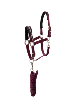 Clearance horze Eternal Gaze Grimesett PurplePotion