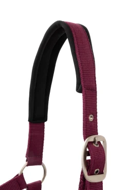 Clearance horze Eternal Gaze Grimesett PurplePotion