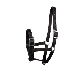 New horze føllgrime Black