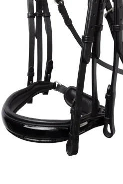 New horze Glamourdale Weymouth hodelag Black