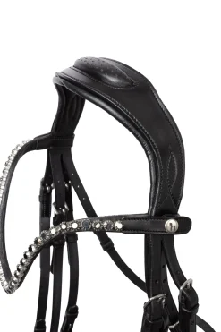 New horze Glamourdale Weymouth hodelag Black