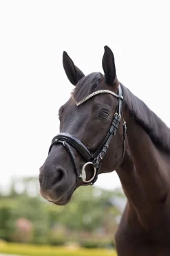 Hot horze Grayson anatomisk hodelag til trinse Black/Black