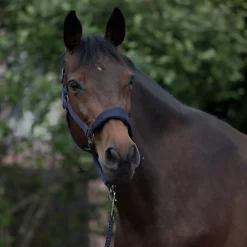 Hot horze Graz grime PeacoatDarkBlue