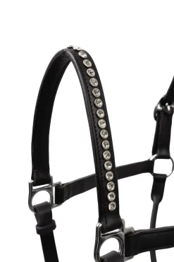 Clearance horze grime med krystaller Black