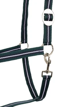 Online horze Halter (Set of 3 pcs) Green